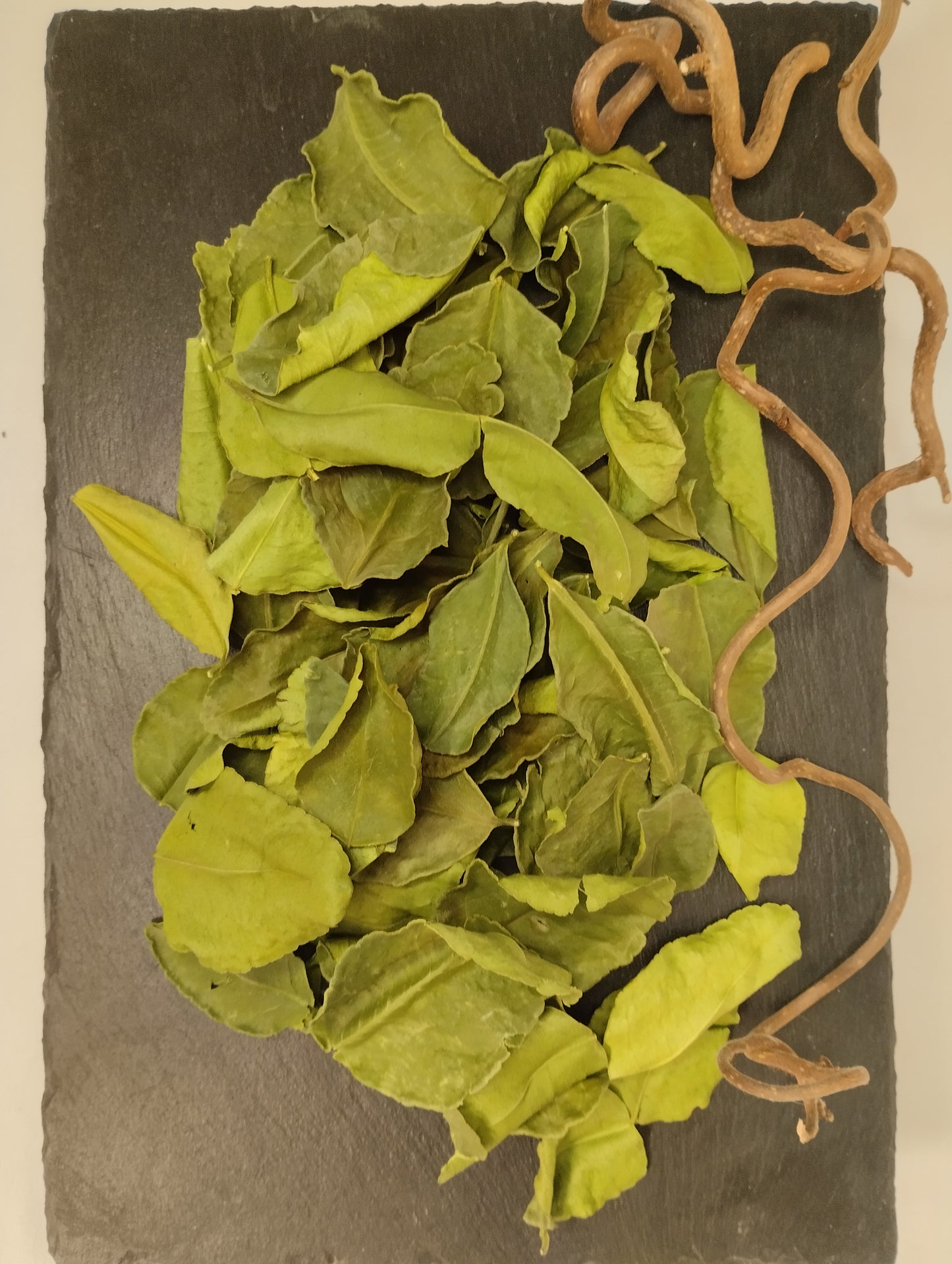 Kaffir Lemon Blätter