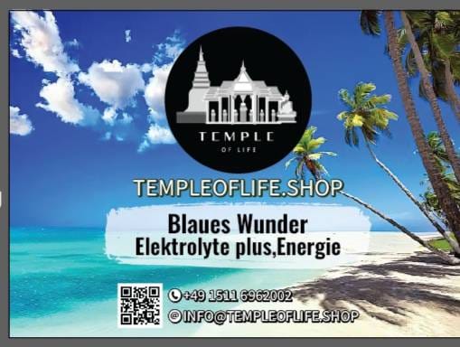 Blaues Wunder Tee
