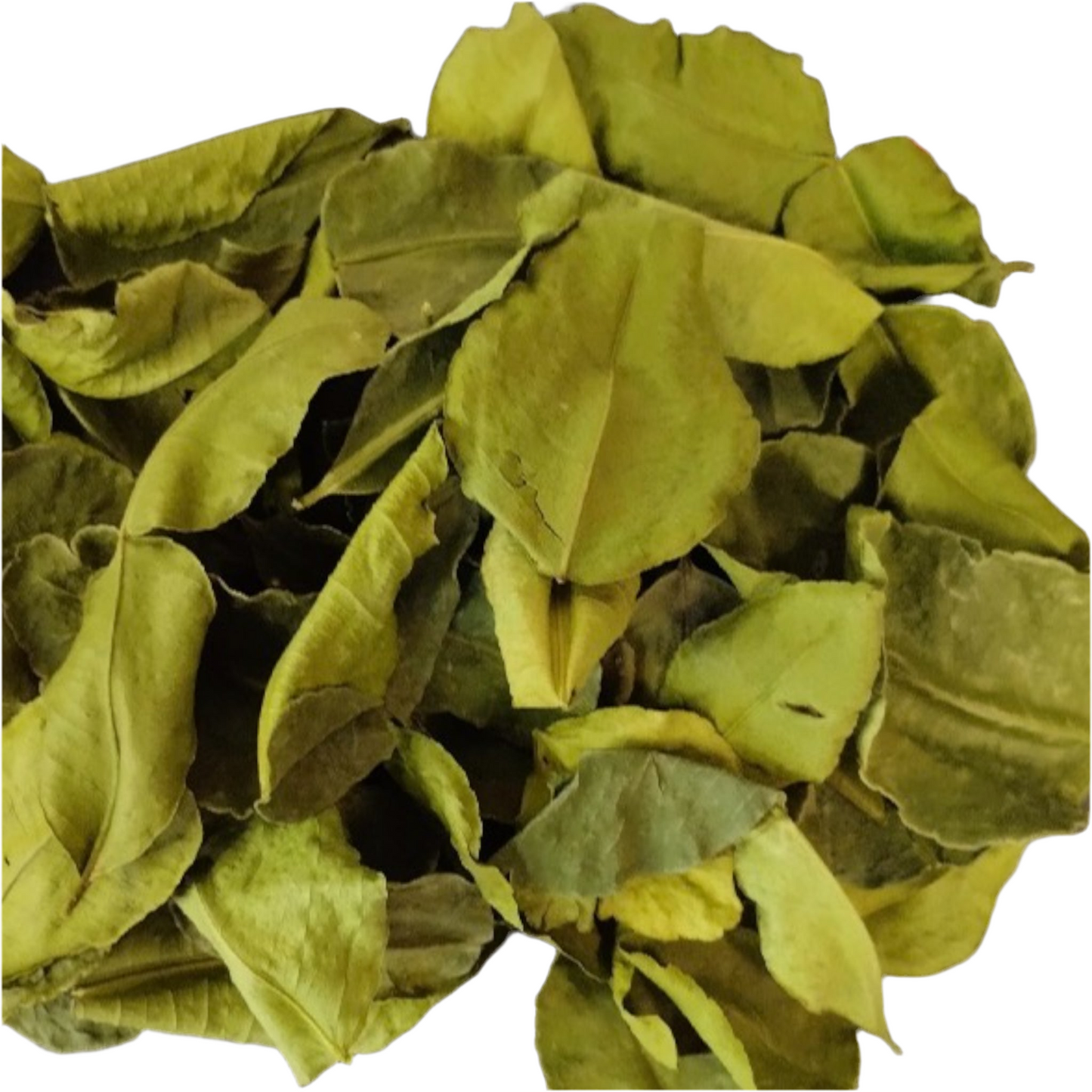 Kaffir Lime Leaves